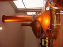 DSC04746.JPG