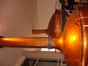 DSC04747.JPG