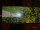 DSC04748.JPG