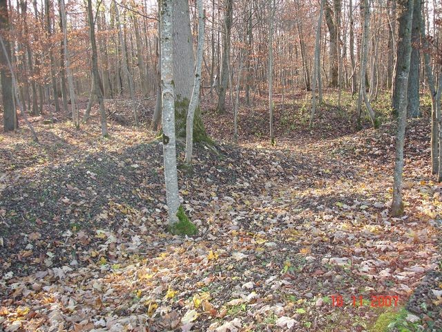 DSC04787.JPG
