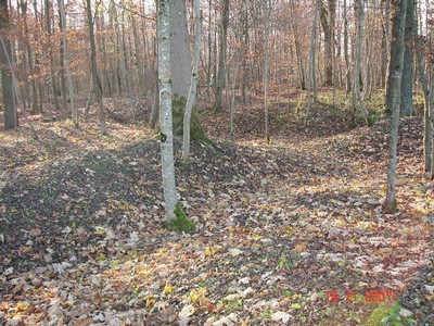 DSC04787.JPG