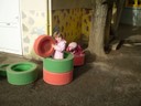 PC310004.JPG
