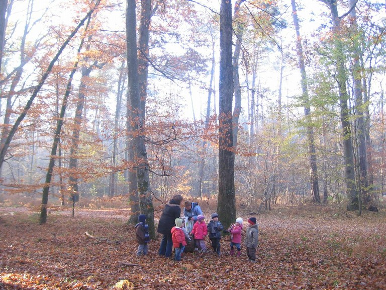 20071115_Foret  de Vouille_PSMS (1).JPG
