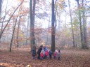 20071115_Foret  de Vouille_PSMS (1).JPG