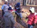 20071115_Foret  de Vouille_PSMS (10).JPG