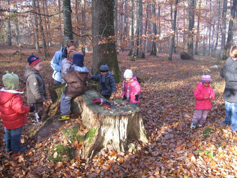 20071115_Foret  de Vouille_PSMS (11).JPG