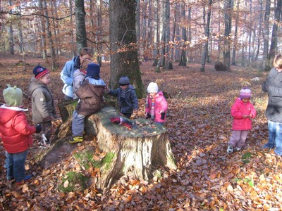 20071115_Foret  de Vouille_PSMS (11).JPG