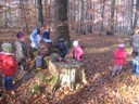 20071115_Foret  de Vouille_PSMS (11).JPG