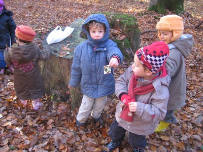 20071115_Foret  de Vouille_PSMS (12).JPG