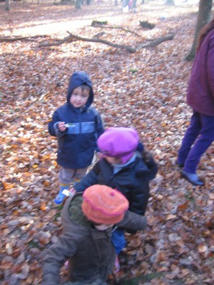 20071115_Foret  de Vouille_PSMS (13).JPG