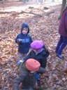 20071115_Foret  de Vouille_PSMS (13).JPG