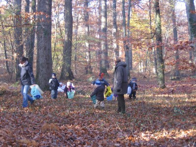20071115_Foret  de Vouille_PSMS (14).JPG