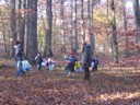 20071115_Foret  de Vouille_PSMS (14).JPG