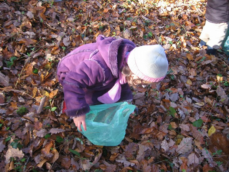 20071115_Foret  de Vouille_PSMS (15).JPG