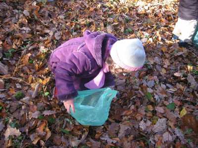 20071115_Foret  de Vouille_PSMS (15).JPG