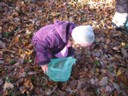20071115_Foret  de Vouille_PSMS (15).JPG