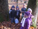 20071115_Foret  de Vouille_PSMS (16).JPG
