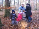 20071115_Foret  de Vouille_PSMS (17).JPG