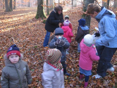 20071115_Foret  de Vouille_PSMS (18).JPG