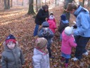 20071115_Foret  de Vouille_PSMS (18).JPG