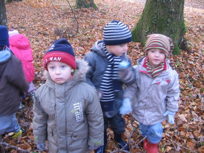 20071115_Foret  de Vouille_PSMS (19).JPG