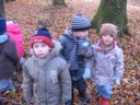 20071115_Foret  de Vouille_PSMS (19).JPG