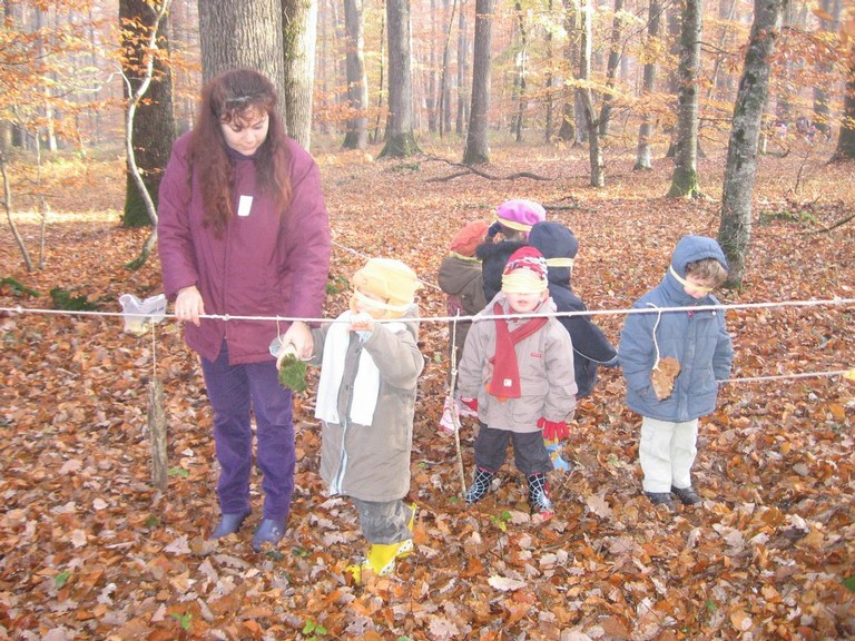 20071115_Foret  de Vouille_PSMS (2).JPG