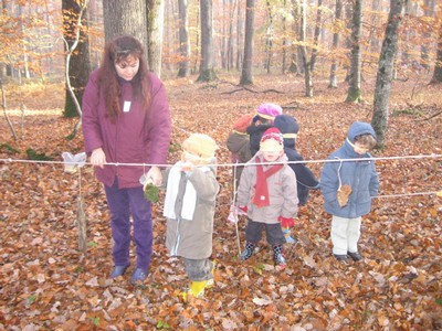 20071115_Foret  de Vouille_PSMS (2).JPG