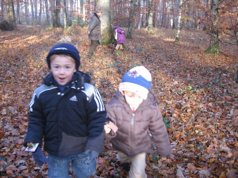 20071115_Foret  de Vouille_PSMS (20).JPG