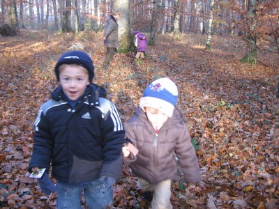 20071115_Foret  de Vouille_PSMS (20).JPG