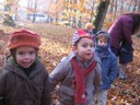 20071115_Foret  de Vouille_PSMS (21).JPG