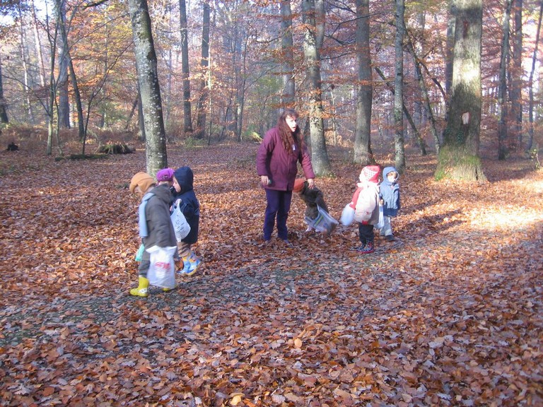 20071115_Foret  de Vouille_PSMS (22).JPG