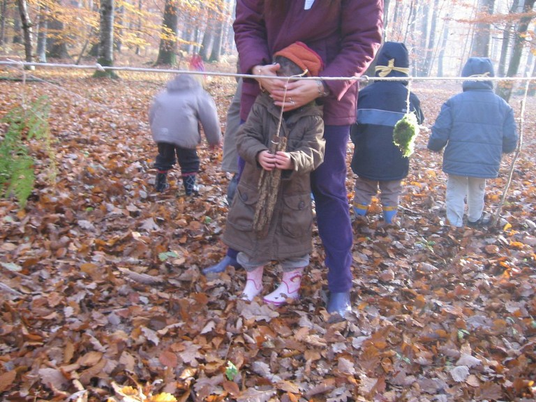 20071115_Foret  de Vouille_PSMS (4).JPG