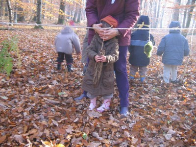 20071115_Foret  de Vouille_PSMS (4).JPG