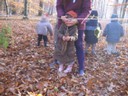 20071115_Foret  de Vouille_PSMS (4).JPG