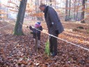 20071115_Foret  de Vouille_PSMS (5).JPG