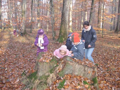 20071115_Foret  de Vouille_PSMS (6).JPG