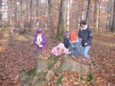 20071115_Foret  de Vouille_PSMS (6).JPG