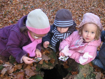 20071115_Foret  de Vouille_PSMS (7).JPG