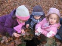 20071115_Foret  de Vouille_PSMS (7).JPG