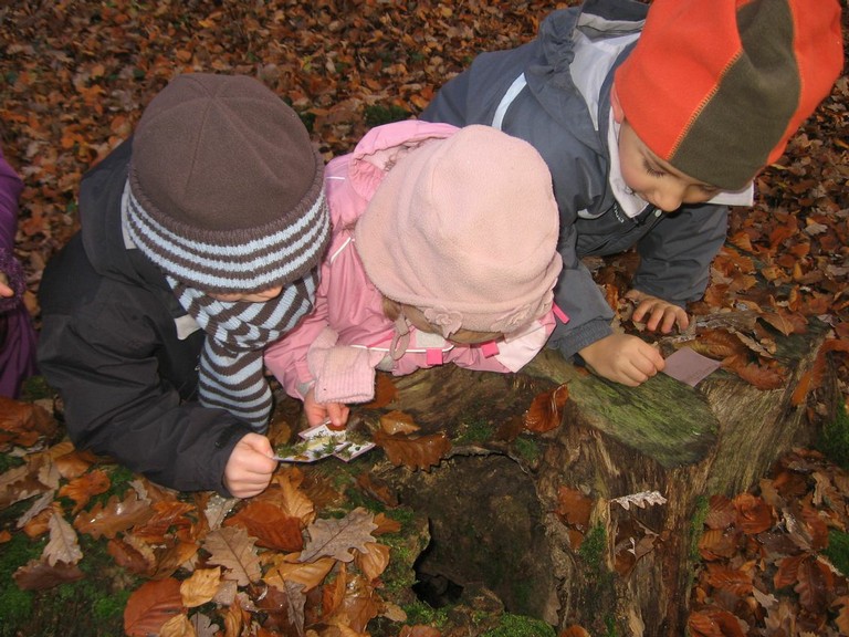 20071115_Foret  de Vouille_PSMS (8).JPG