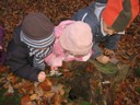 20071115_Foret  de Vouille_PSMS (8).JPG