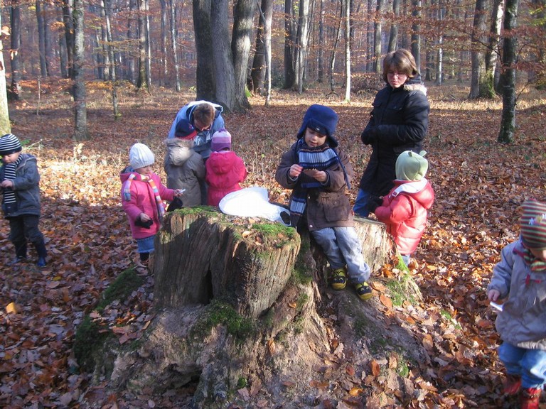 20071115_Foret  de Vouille_PSMS (9).JPG