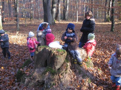 20071115_Foret  de Vouille_PSMS (9).JPG