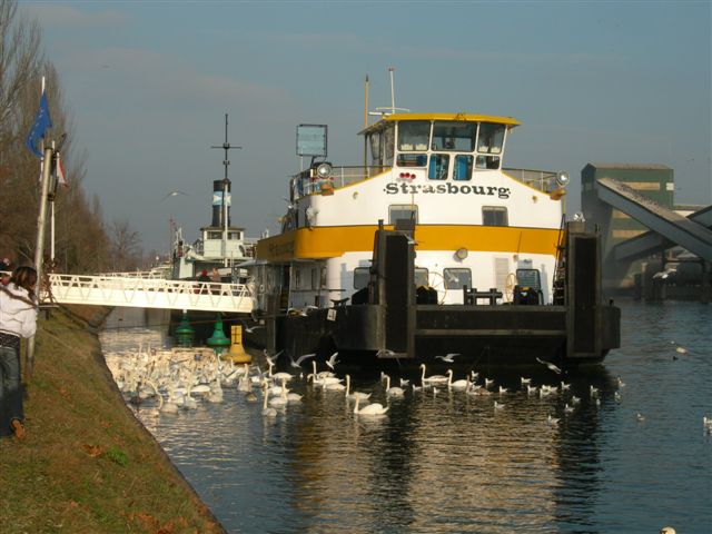DSCN2962