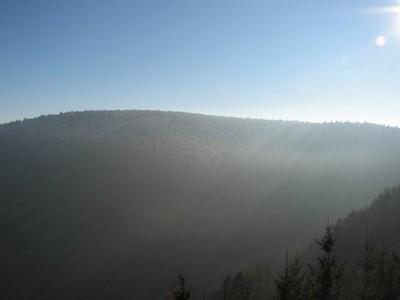 IMG_1596.JPG