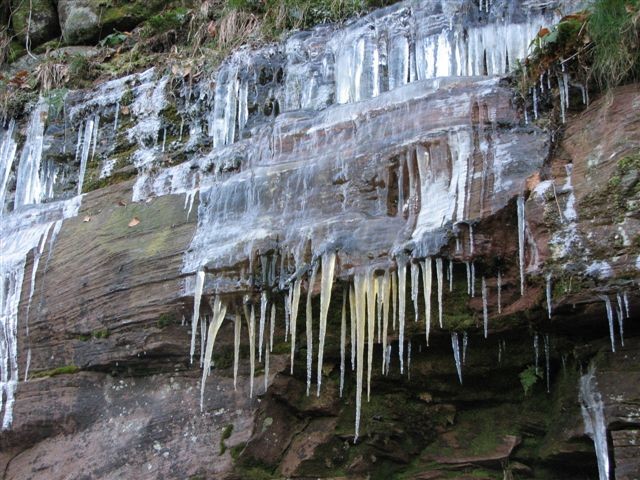 IMG_1615.JPG