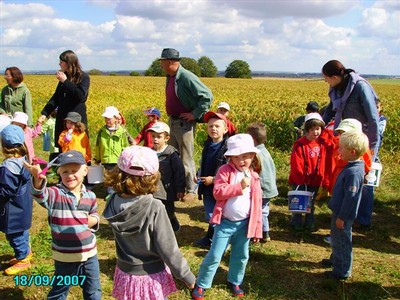 vendanges 020.jpg