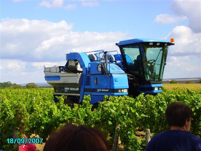 vendanges 022.jpg