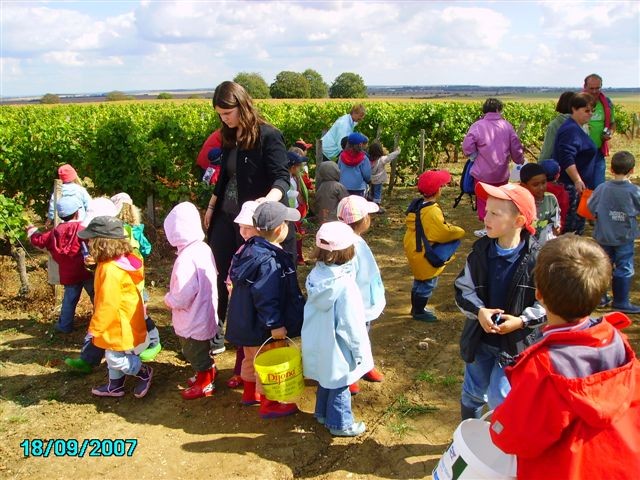 vendanges 023.jpg